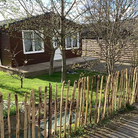 Chalet Charmant Monika Avec Piscine Yvoir Eksteriør billede